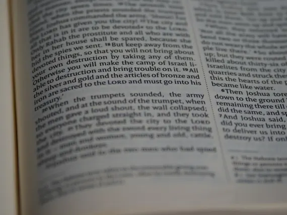 TopTally Casino Ondersteuning